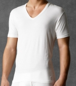 Polo Ralph Lauren Organic Cotton V-Neck T-Shirt